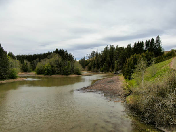 istock A fork of river with an island with trees in the middle 1225439103