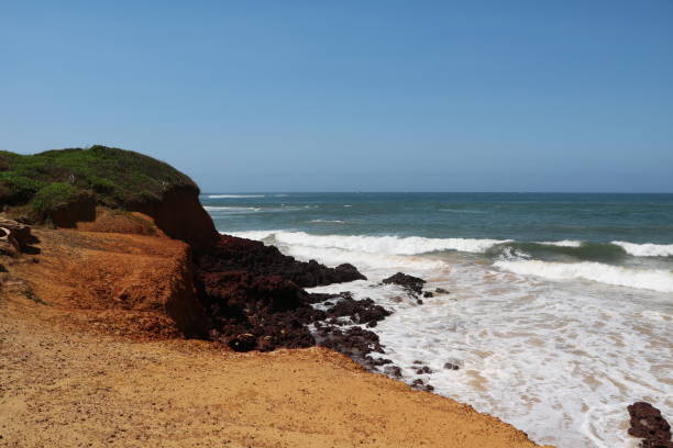 istock Holiday at Long Reef Headland in Sydney Australia 1225439182