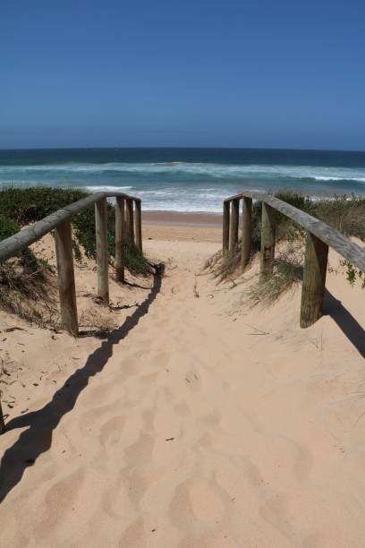 istock Dee Why Lagoon to Long Reef Headland, Sydney Australia 1225439401