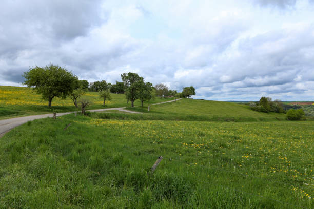 istock Spring landscape with green meadows along the road 1225439408