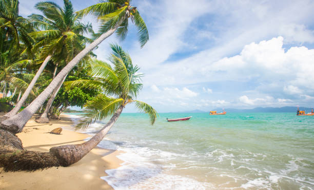 istock Stormy sea and beach with coconut palm trees. Koh Samui, Thailand 1225439444