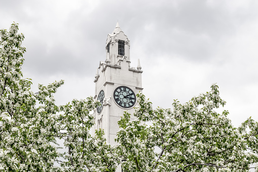 White clock tower behind blooming spring trees. Old Port of Montreal (Quebec, Canada).