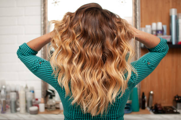 Beautiful ombre hair coloring on a girl with long hair, view from the back Hair coloring gradient from light golden to brown on a girl with long curly hair in the back haistyle stock pictures, royalty-free photos & images