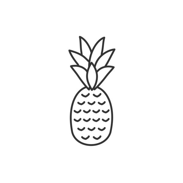 Pineapple / ananas line icon with editable stroke. Simple outline design. Tropical fruit / food symbol. Vector illustration. Pineapple / ananas line icon with editable stroke. ananas stock illustrations