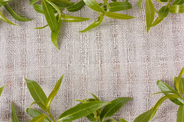 I tried to frame the bay leaves