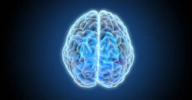 3D rendering illustration blue color tone hemispheres of human brain x-ray top view isolated and glowing on dark blue background included with clipping path