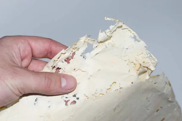 Photo of Enveloped with silverfish, envelopes of records in the man's hand.