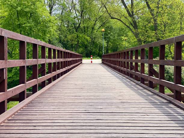 istock Wooden bridge in the park, perspective 1225449389