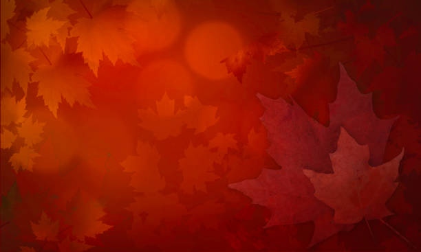istock Abstract Leaves Background - Autumn Leaf Colors 1225449500