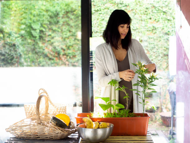 istock woman caring for plants 1225449505