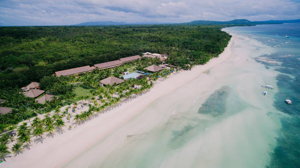 top view drone aereo colpo di bella spiaggia di sabbia bianca a panglao, bohol, filippine - bohol foto e immagini stock