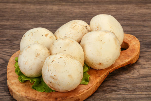 istock Raw mushrooms over the board 1225460358
