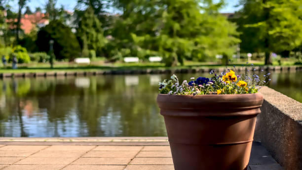 A stone flower pot with colorful flowers in front of the Humboldt Park Lagoon in Chicago during the summer