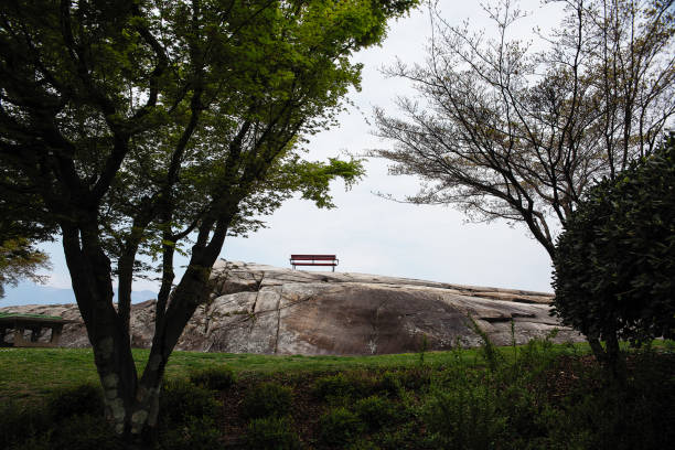 A huge stone, on which among the trees stands a lonely bench, a bench against the blue sky