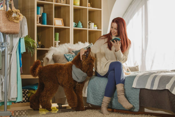 istock Cheerful young woman using her smart phone and playing with her dog 1225469727