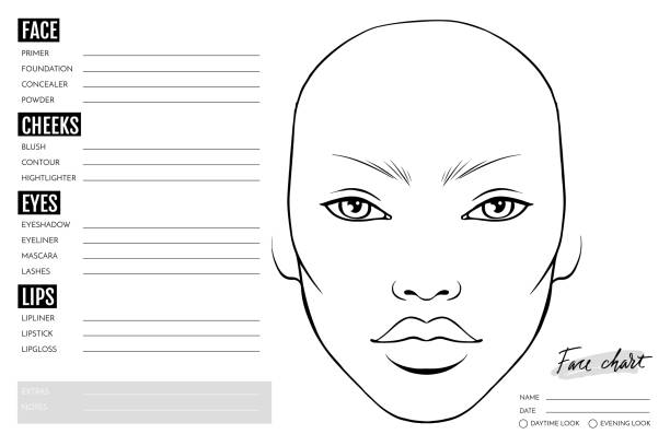 ilustrações de stock, clip art, desenhos animados e ícones de face chart blank. makeup artist vector template. - artist art artists canvas human eye