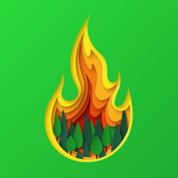 Save the forest. Let's save nature. Layered fire design in nature. Vector Save the forest. Let's save nature. Layered fire design in nature. Vector illustration forest fire stock illustrations