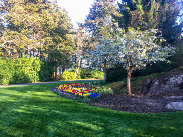 istock Colorful flower garden 07 1225474538