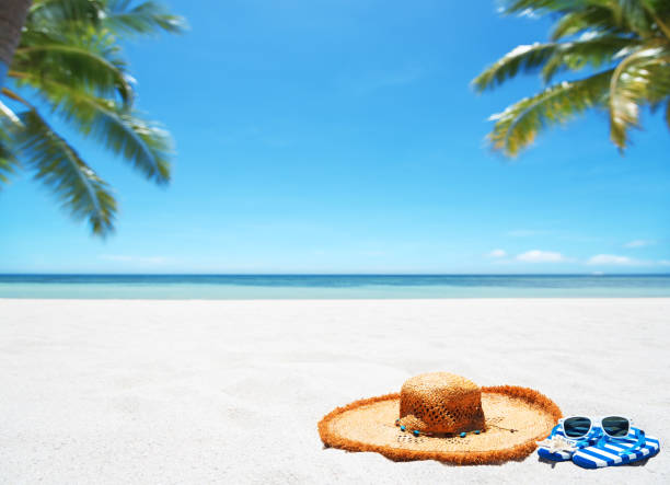 istock Tropical beach holiday copy space scene 1225475576