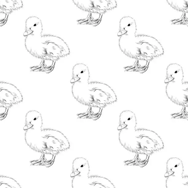 Vector illustration of Duck Abstract Seamless Background  - Pen and Ink Vector EPS10 Illustration