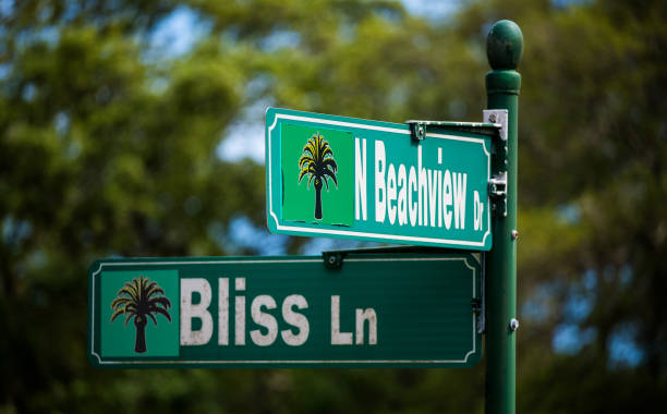 istock Beachview Street Sign 1225479548