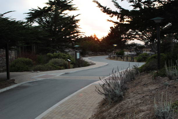 istock Monterey Bay, California 1225480464