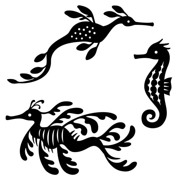 illustrazioni stock, clip art, cartoni animati e icone di tendenza di silhouette illustrazione set di cavalluccio marino e draghi marini - drago marino illustrazioni