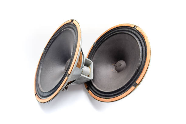 istock an Antique Soviet woofer 5gd-3 from vintage acoustics Symphony. 1225482702