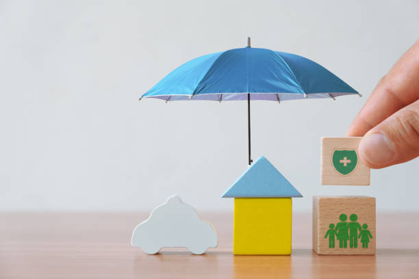 istock Insurance and investment concept 1225485667