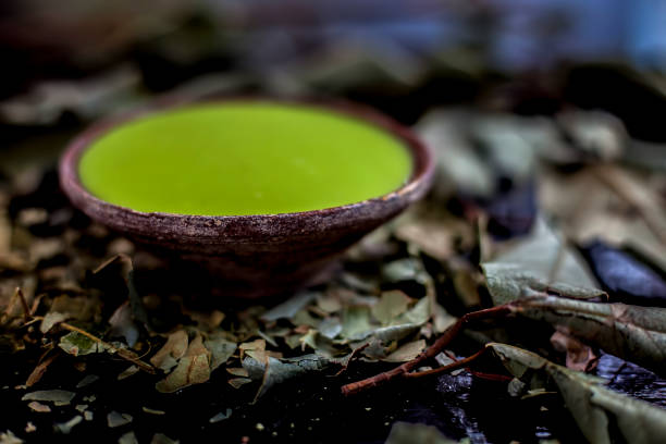 Close up shot of banyan tree paste in a clay bowl on black wooden surface along with some raw and ripe fruits with it. Some sprinkled dried leaves powder also. Used for vaginal infections. cierre el tiro de pasta de árbol baniano en un cuenco de arcilla sobre la superficie de madera negra junto con algunas frutas crudas y maduras con ella. algunas hojas secas espolvoreadas en polvo también. se utiliza para infecciones vaginales.