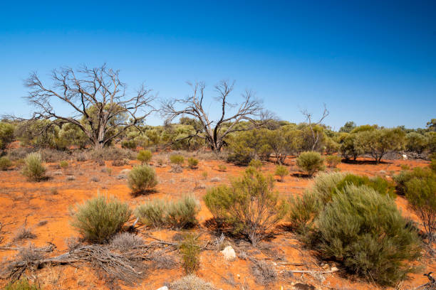 istock Outback NSW - Broken Hill Region 1225492763