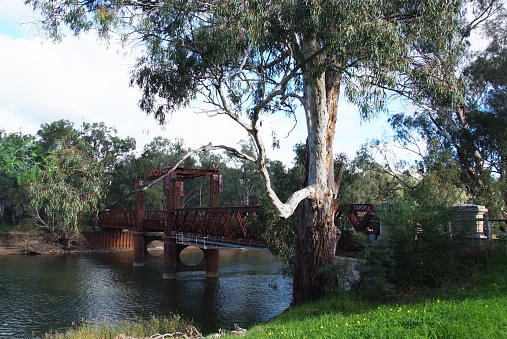 Image of the old rail crossing near Tocumwal on the Murry River NSW