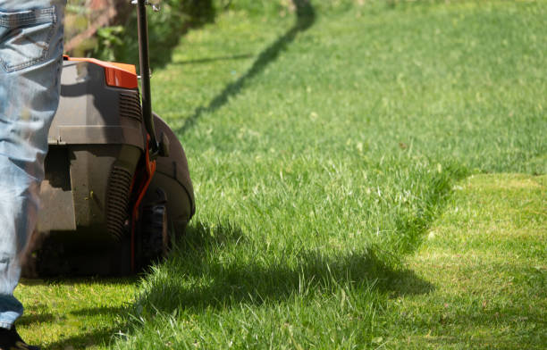 istock Man moves with lawnmower mows green grass 1225496745