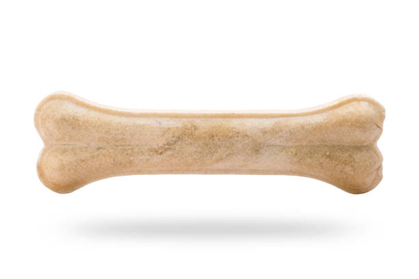istock New dog chews (Rawhide) isolated on white background 1225496866