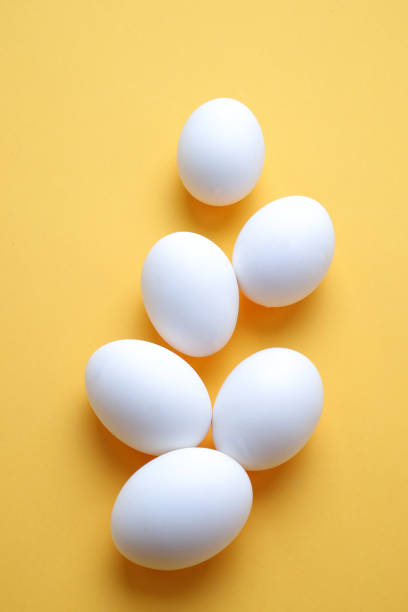 huevos, huevos blancos sobre fondo aislado - breakfast close up studio shot group of objects fotografías e imágenes de stock