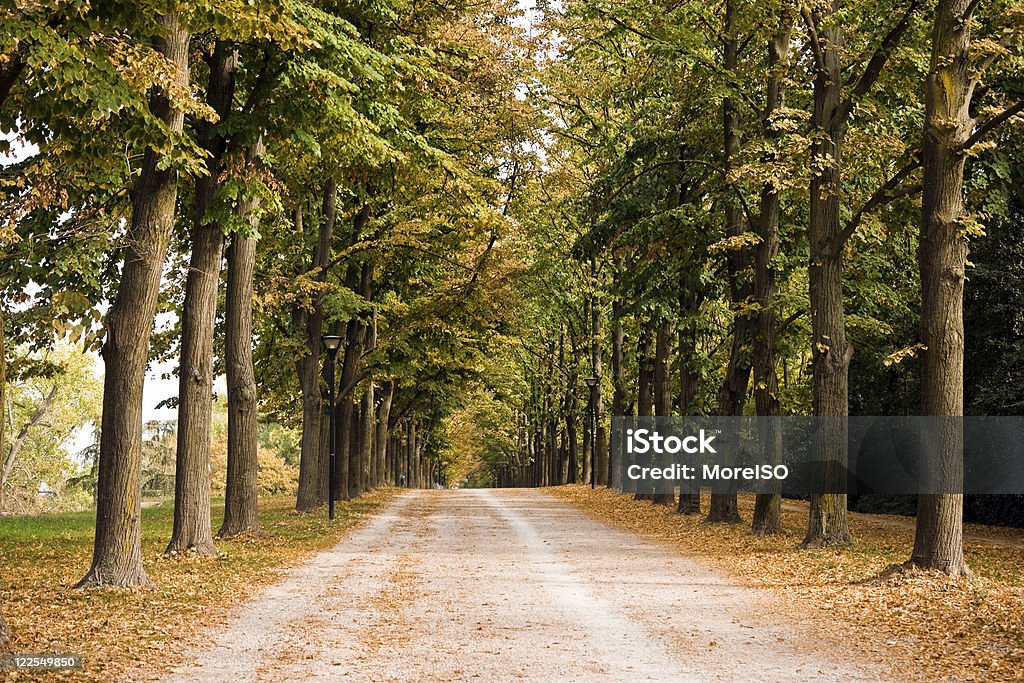 Wunderschöne country road - Lizenzfrei Baum Stock-Foto