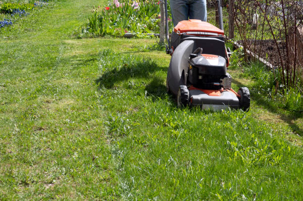 istock Man moves with lawnmower mows green grass 1225499028