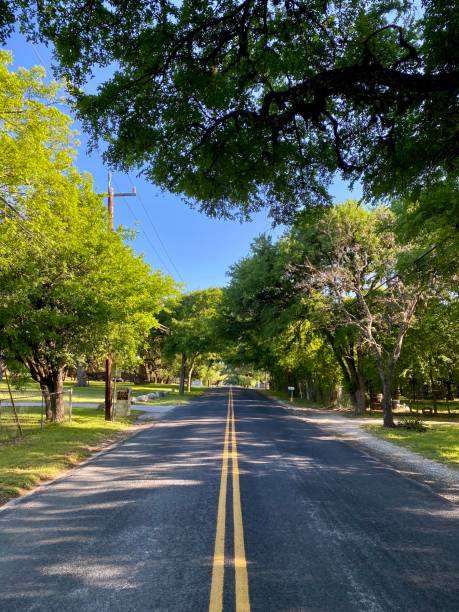 istock Scenic Lead Road Texas 1225499155