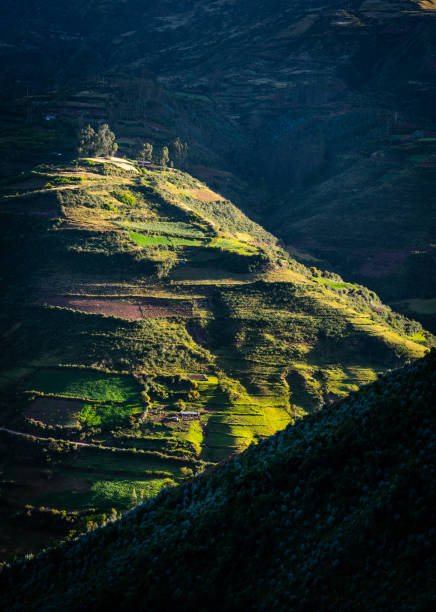 Farm Land on a Hillside Farm land on a hillside in Peru near to city of Cusco peru landscape stock pictures, royalty-free photos & images