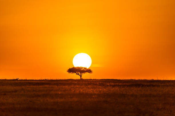 The sun going down over the field. Soft focus
