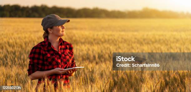 Una Mujer Agricultora Con Tableta Digital Foto de stock y más banco de imágenes de Granja - Granja, Escena rural, Agricultor