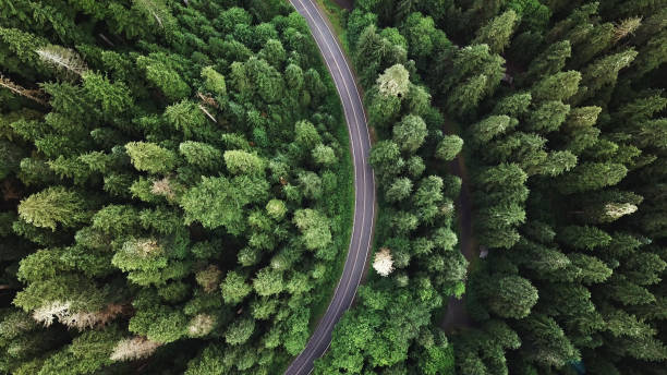 ワシントン州の高角ビュー - landscape aerial view lumber industry agriculture ストックフォトと画像