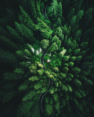 high angle view in Washington state