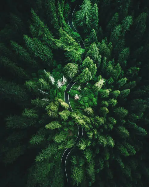 Photo of high angle view in washington state