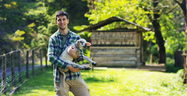 istock A farmer, holds in his hands his beloved white lamb, which he raised himself, against the backdrop of nature and a barn, 1225512231