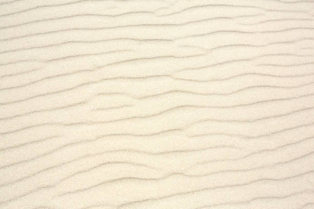 istock Sand as background texture. Wavy pattern of the wind. 1225514956