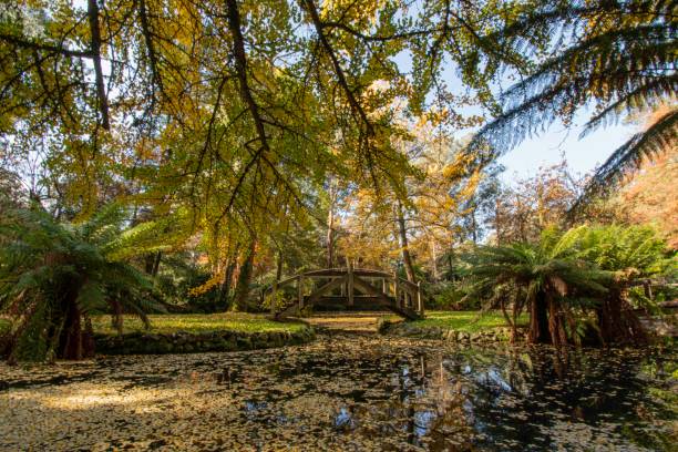 istock A formal garden in autumn 1225520115