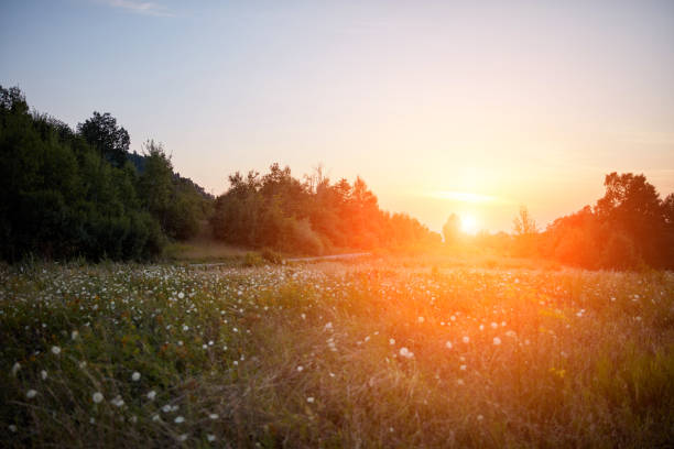 istock View of hilly landscape in the summertime. 1225523114