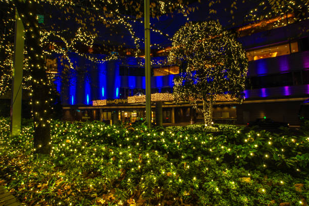 Image of the decoration of the Christmas tree Image of the decoration of the Christmas tree. Shooting Location: Tokyo metropolitan area 電球 stock pictures, royalty-free photos & images