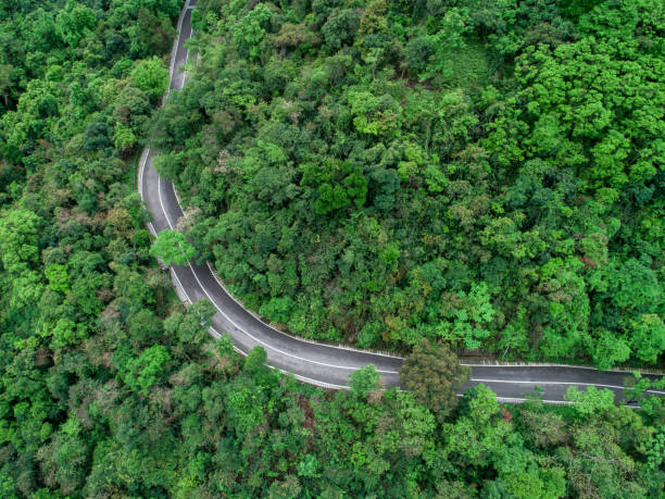 istock Aerial drone view of trail in spring tropical forest 1225530215